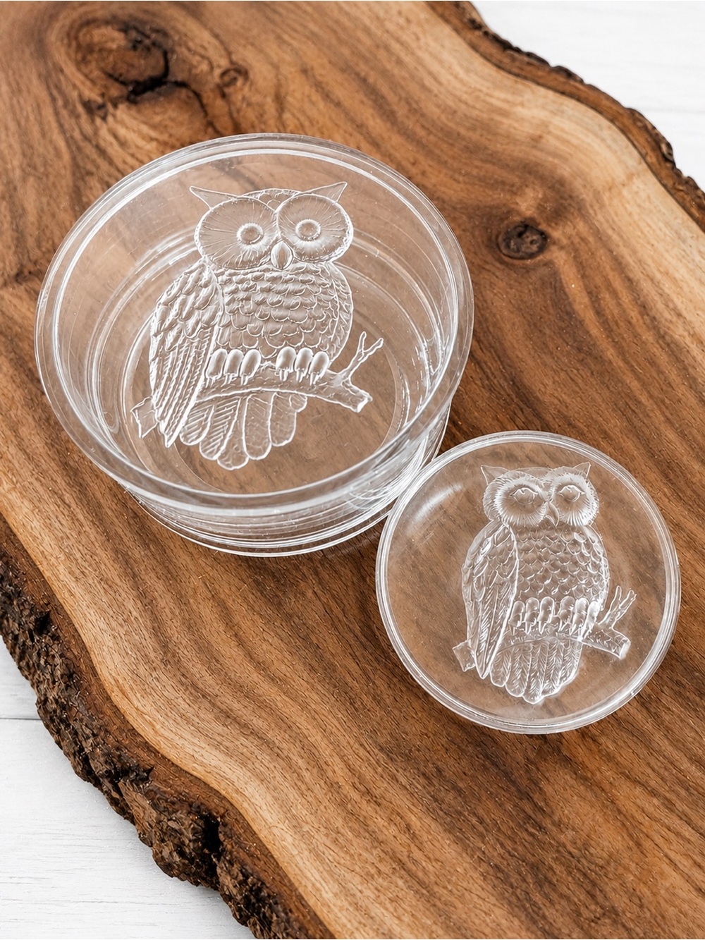 Vintage 60s MCM Clear Acrylic Lucite Lidded Trinket Box Etched Owl Velvet Bottom